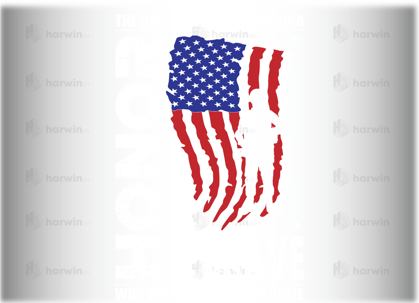 American Flag DTF Transfer