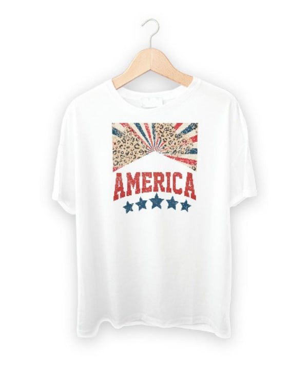 4th of July DTF Transfer