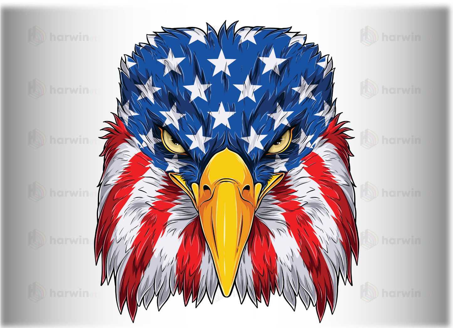 American Eagle Usa Flag DTF Transfer