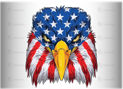 American Eagle Usa Flag DTF Transfer